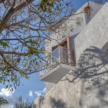 Edem Garden Residence By Estia Platys Gialos  Buitenkant foto